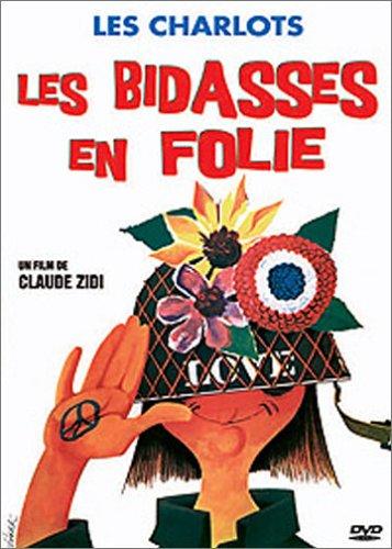 Les Bidasses en folie [FR Import]