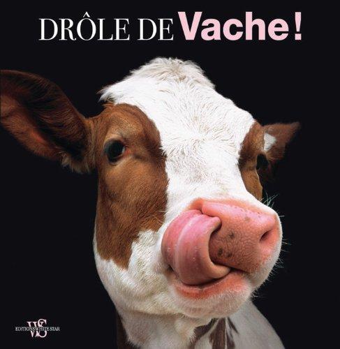 Drôle de vaches !