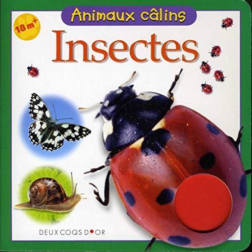 Insectes