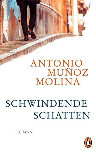 Schwindende Schatten: Roman