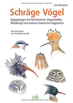 Schräge Vögel: Begegnungen mit Rohrdommel, Ziegenmelker, Wiedehopf und anderen heimischen Vogelarten