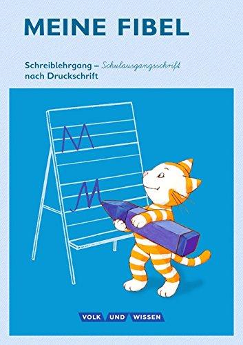 Meine Fibel - Ausgabe 2015: 1. Schuljahr - Schreiblehrgang in Schulausgangsschrift nach Druckschrift