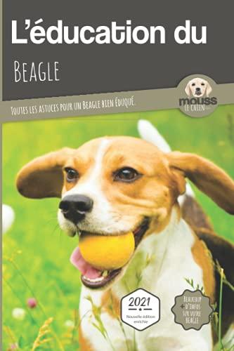 L'éducation du beagle : toutes les astuces pour un beagle bien éduqué : 2021