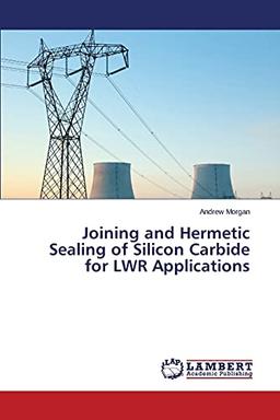 Joining and Hermetic Sealing of Silicon Carbide for LWR Applications