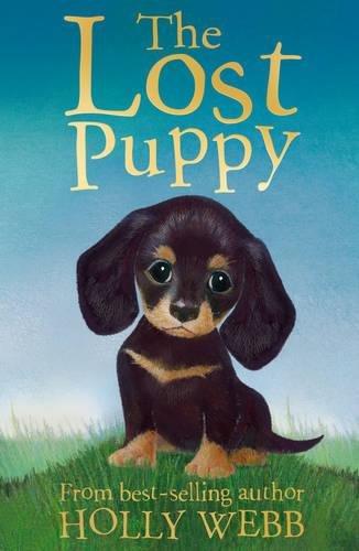 The Lost Puppy (Holly Webb Animal Stories, Band 20)