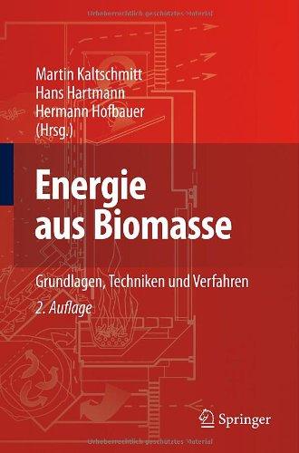 Energie aus Biomasse: Grundlagen, Techniken und Verfahren