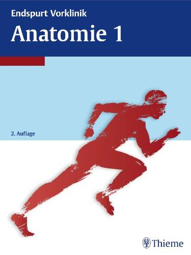 Endspurt Vorklinik: Anatomie 1: Die Skripten fürs Physikum