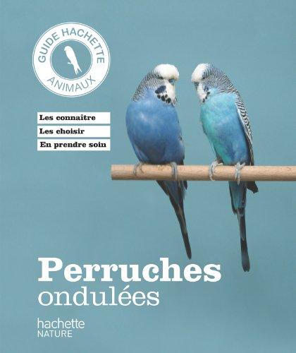 Perruches ondulées