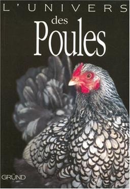 L'univers des poules