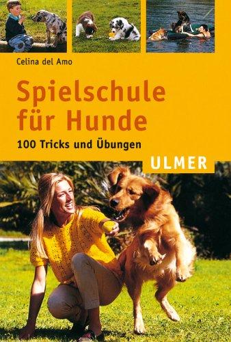 Spielschule für Hunde