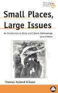 Small Places, Large Issues: An Introduction to Social and Cultural Anthropology (Anthropology, Culture and Society)