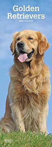 Golden Retrievers - Golden Retriever 2020: Original BrownTrout-Kalender - Slimline [Mehrsprachig] [Kalender] (Slimline-Kalender)