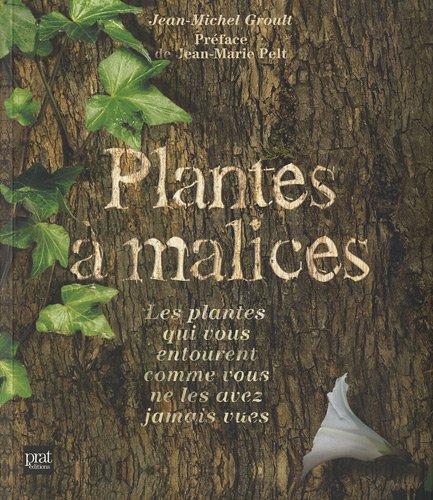 Plantes à malices : les plantes qui vous entourent comme vous ne les avez jamais vues