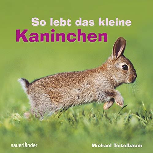 So lebt das kleine Kaninchen