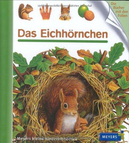 Das Eichhörnchen