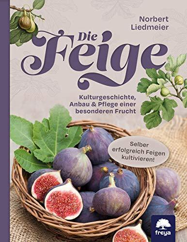 Die Feige: Kulturgeschichte, Anbau & Pflege einer besonderen Frucht