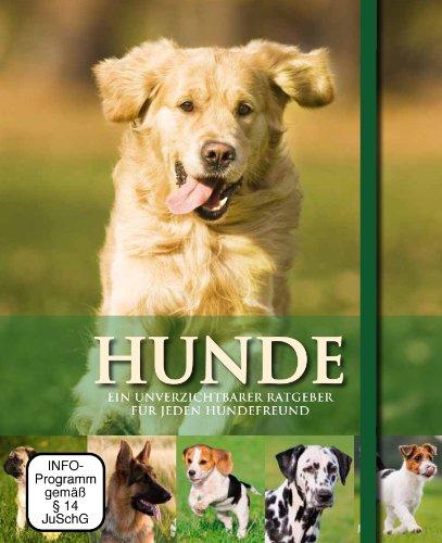 Hunde - Buch & DVD