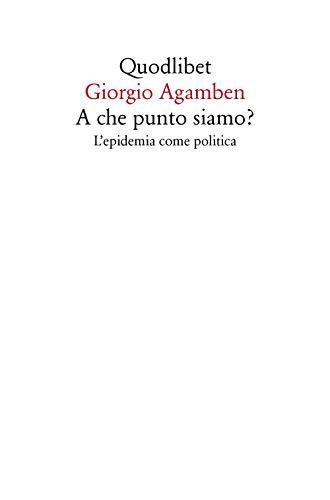 A che punto siamo? L'epidemia come politica