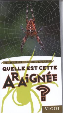 Quelle est cette araignée ?