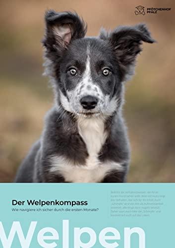 Der Welpenkompass: Wie navigiere ich sicher durch die ersten Monate (Expedition Hund)