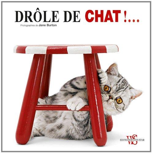 Drôle de chat !...