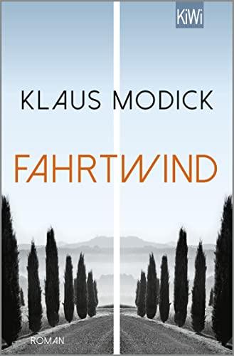 Fahrtwind: Roman