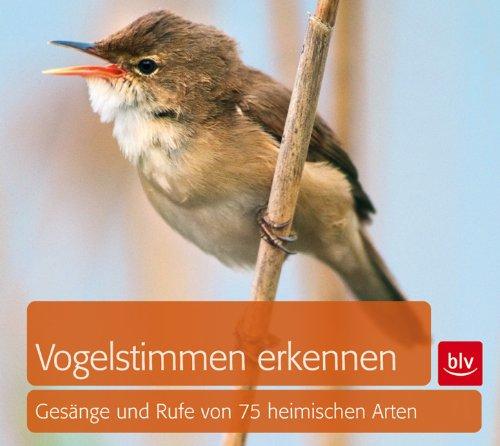 Vogelstimmen erkennen / CD: Gesänge und Rufe von 75 heimischen Arten