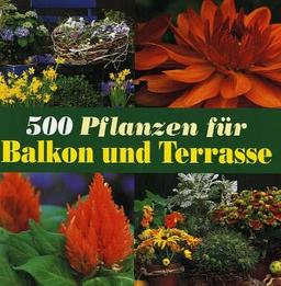 500 Pflanzen für Balkon und Terrasse