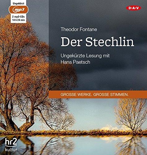 Der Stechlin: Ungekürzte Lesung (2 mp3-CDs)