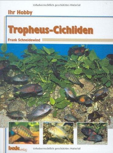 Tropheus-Cichliden, Ihr Hobby