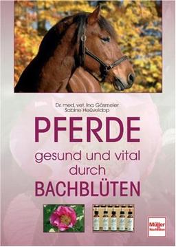 Pferde  -  gesund und vital durch Bachblüten