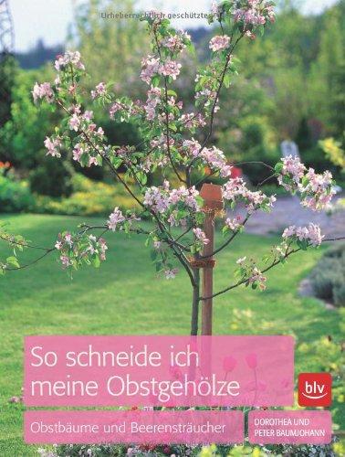 So schneide ich meine Obstgehölze: Obstbäume und Beerensträucher