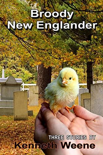 Broody New Englander