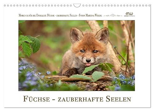 Füchse - zauberhafte Seelen (Wandkalender 2024 DIN A3 quer), CALVENDO Monatskalender: Füchse - beeindruckende Bilder begleiten Sie durch das Jahr (CALVENDO Tiere)