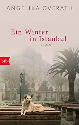 Ein Winter in Istanbul: Roman