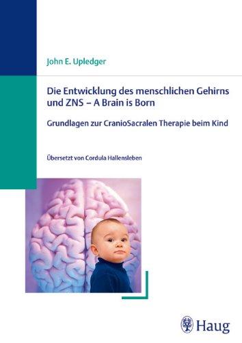 Die Entwicklung des menschlichen Gehirns und ZNS - A Brain is Born: Grundlagen zur CranioSakralen Therapie beim Kind