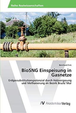 BioSNG Einspeisung in Gasnetze: Erdgassubstitutionspotenzial durch Holzvergasung und Methanierung im Bezirk Bruck/ Mur