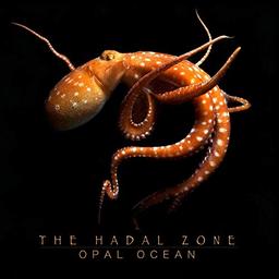 The Hadal Zone