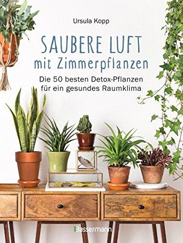 Saubere Luft mit Zimmerpflanzen: Die 50 besten Detox-Pflanzen für ein gesundes Raumklima. Basiert auf der NASA "Clean Air Study"