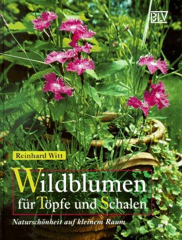 Wildblumen für Töpfe und Schalen