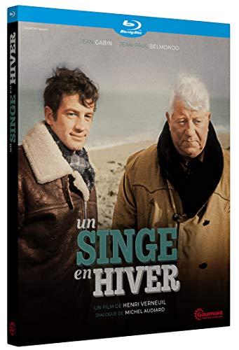 Un singe en hiver [Blu-ray] [FR Import]