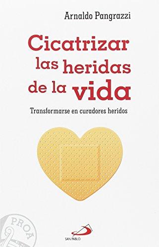 Cicatrizar las heridas de la vida : transformarse en curadores heridos (Proa, Band 18)