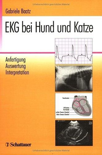 EKG bei Hund und Katze