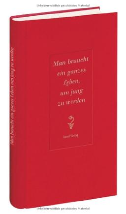 Man braucht ein ganzes Leben, um jung zu werden (insel taschenbuch)