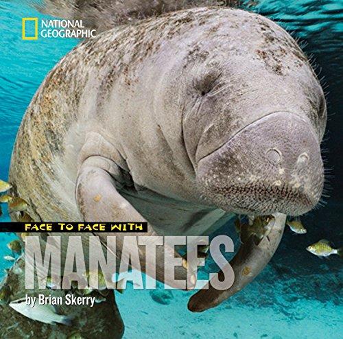 Face to Face with Manatees (Face to Face with Animals)