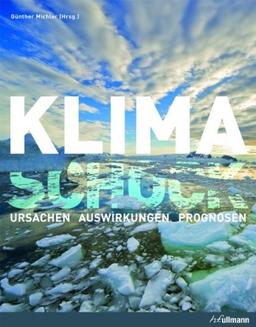 Klimaschock: Ursachen, Auswirkungen, Prognosen