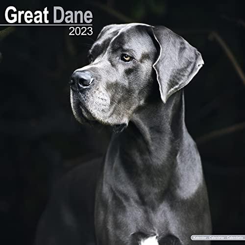 Great Dane - Dänische Dogge 2023 - 16-Monatskalender: Original Avonside-Kalender [Mehrsprachig] [Kalender] (Wall-Kalender)