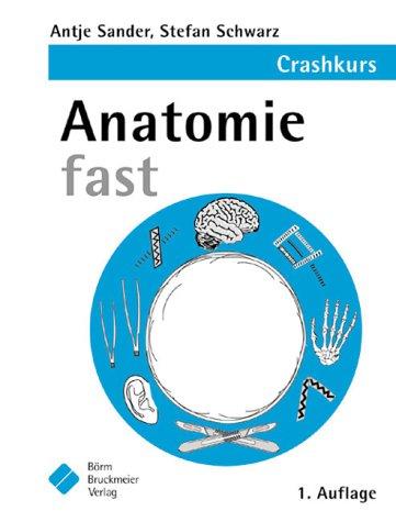 Anatomie fast: Crashkurs