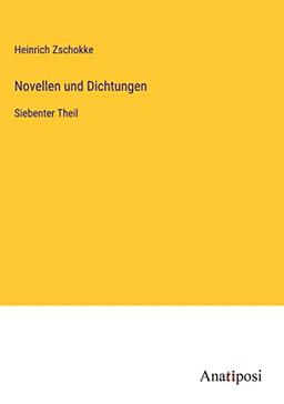 Novellen und Dichtungen: Siebenter Theil