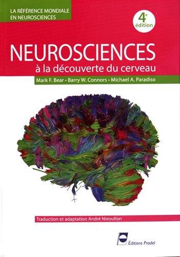 Neurosciences : à la découverte du cerveau